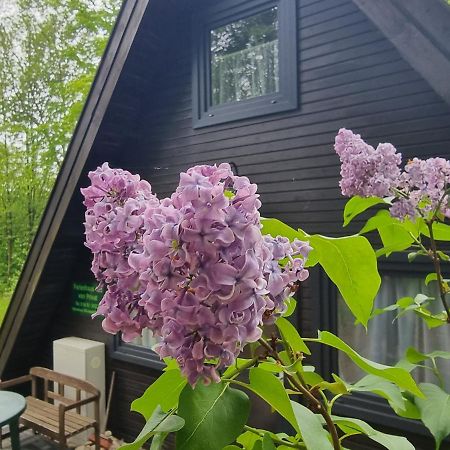 Ferienhaus Marie 125 바트아롤젠 외부 사진