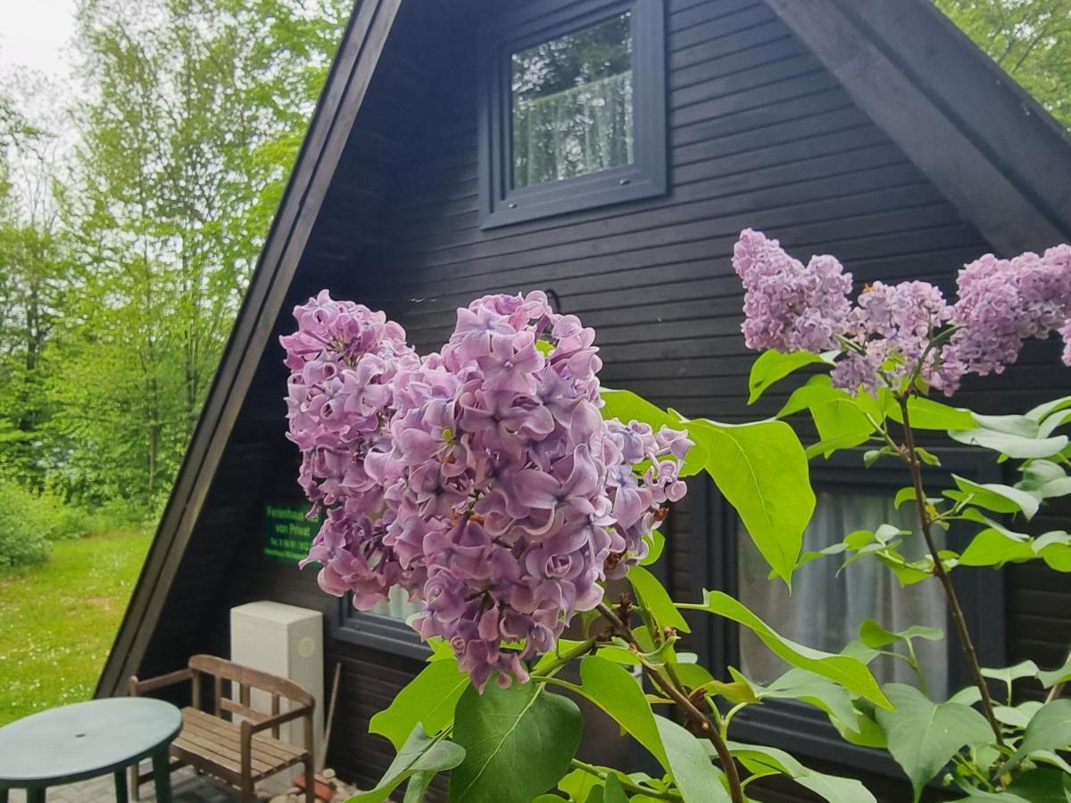 Ferienhaus Marie 125 바트아롤젠 외부 사진